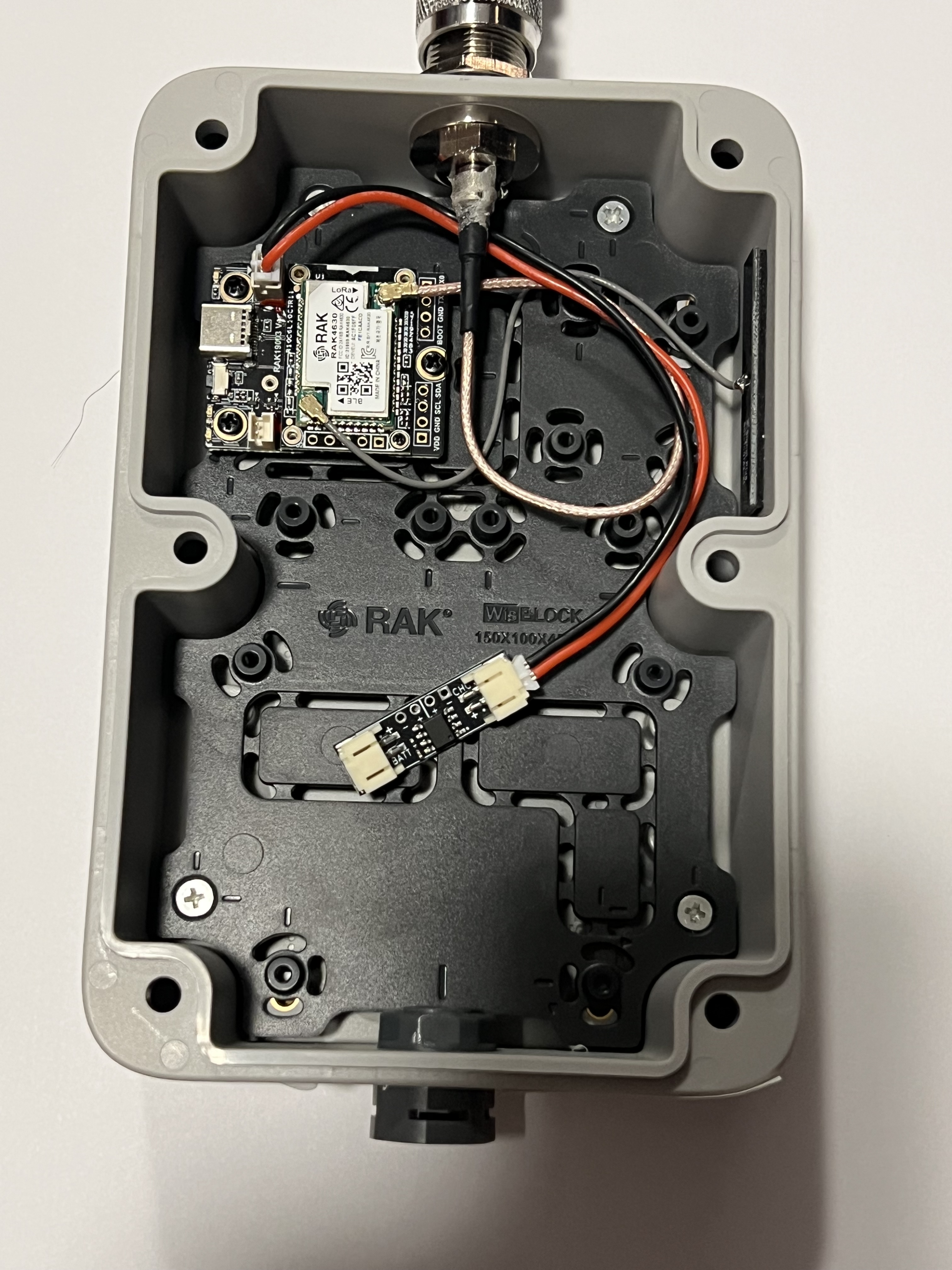 RAK board and antenna cables dry-fitted on the enclosure backplate