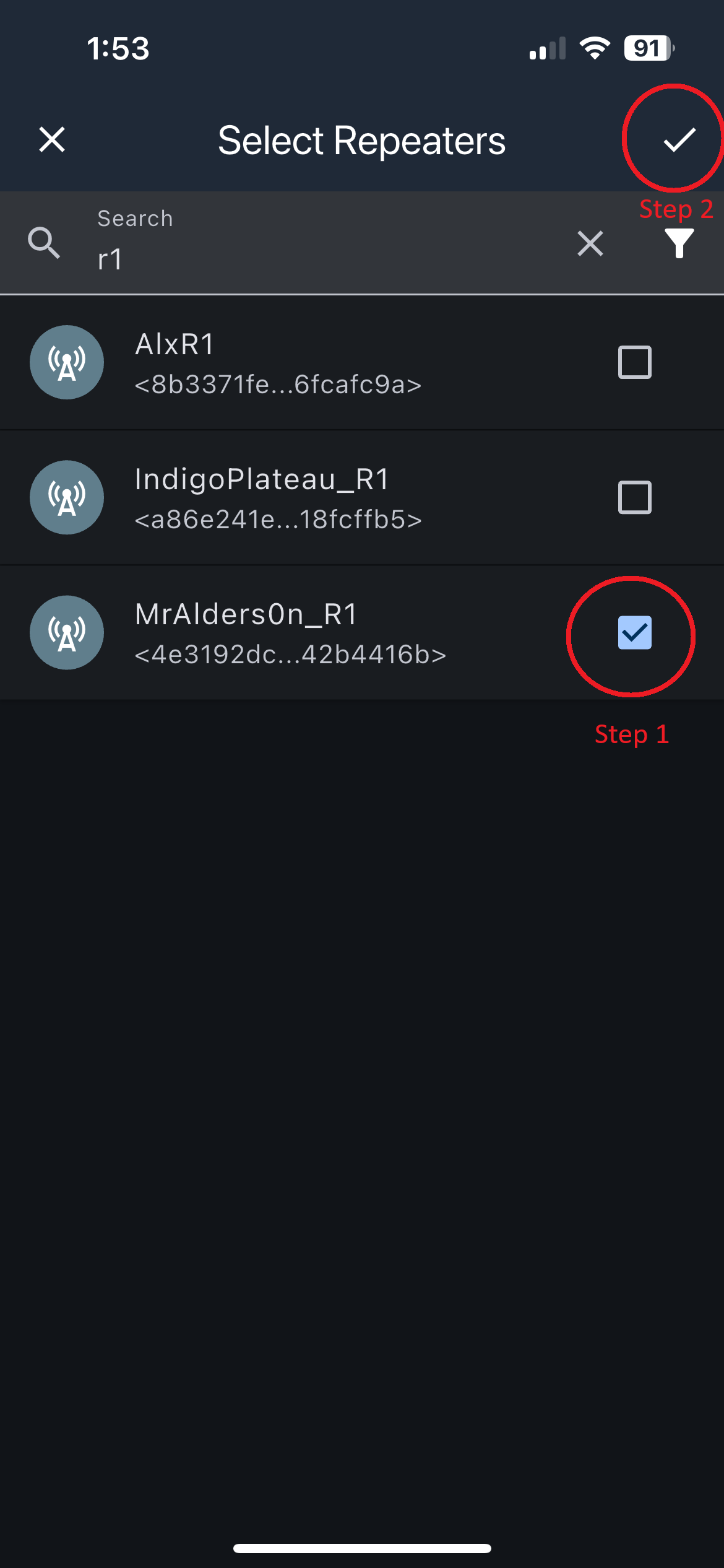 One repeater selected for a trace